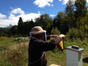 Beekeeper Tom